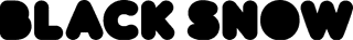 Black Snow client logo